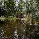 Bohome Balaton (adults Only) דירה בלטונאקאלי