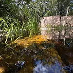 Bohome Balaton (adults Only) דירה *