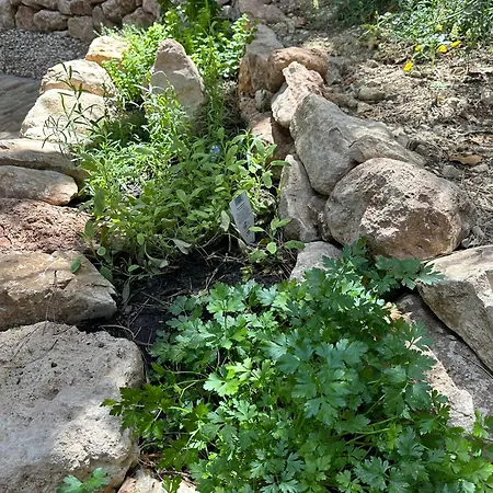 Bohome Balaton (adults Only)