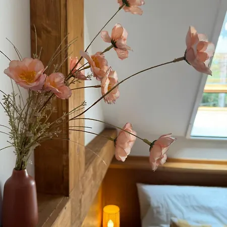 Bohome Balaton (adults Only) Daire