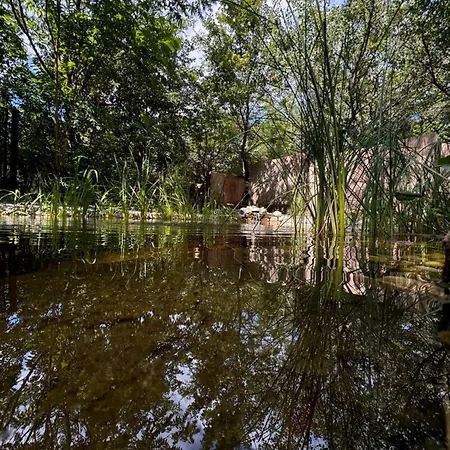 Bohome Balaton (adults Only) Daire Balatonakali