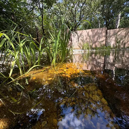 Bohome Balaton (adults Only) Daire *