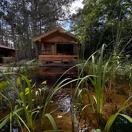 Daire Bohome Balaton (adults Only) *