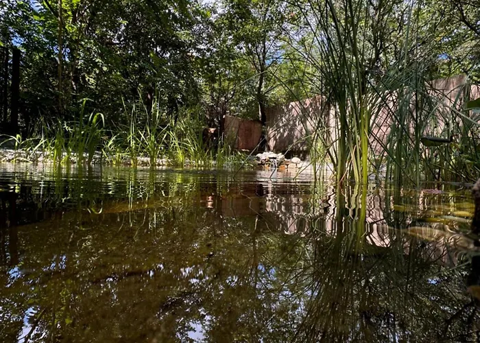 Bohome Balaton (adults Only) דירה בלטונאקאלי